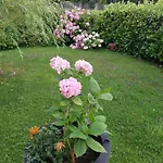 Wintergarten In Seenaehe Apartman *