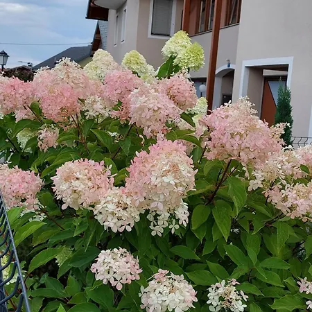 Wintergarten In Seenaehe 아파트 Perwang am Grabensee
