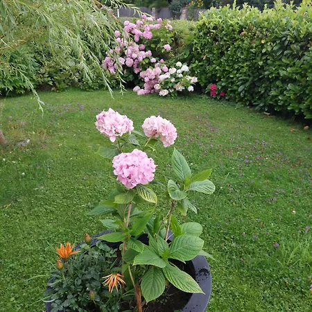 Wintergarten In Seenaehe Διαμέρισμα *